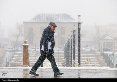 بارش برف در زنجان- عکس خبری تسنیم | Tasnim
