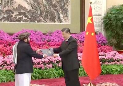 رئیس جمهور چین استوارنامه سفیر طالبان را پذیرفت - تسنیم
