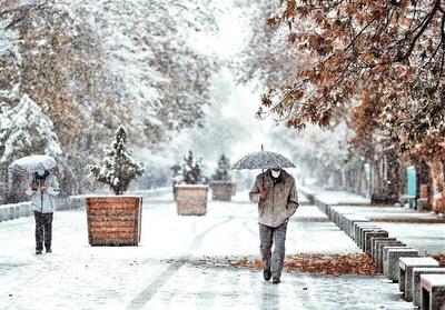ببینید | برف زیبای زمستانی در کاشانک تهران