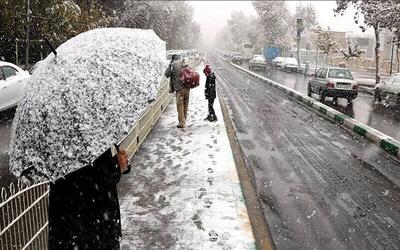 تصاویری از بارش برف در بام تهران / فیلم