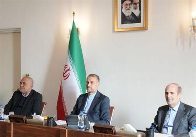 تلاش وزارت خارجه برای تسهیل ارائه خدمات مورد نیاز ایرانیان خارج از کشور - تسنیم