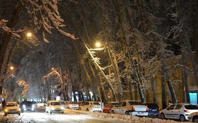 (عکس) زیبایی خیابان ولیعصر تهران با درختان پر از برف