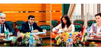 خبرگزاری فارس - دیدار وزیر دارایی تاجیکستان و سفیر فرانسه با محوریت همکاری های اقتصادی و تجاری