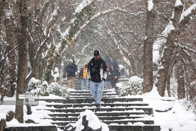 تصاویری از بارش برف در تهران و اراک