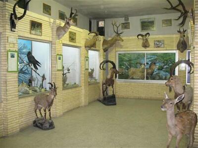 بازدید از موزه تاریخ طبیعی زنجان در دهه فجر رایگان است