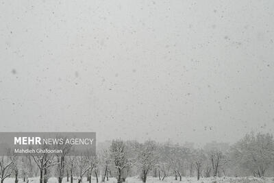 گم شدن ساربان ۳۰ ساله در کویر رضا آباد/ بارش برف علت حادثه بود
