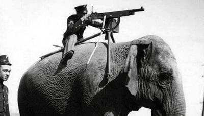 آزمایش یک فیل جنگی با مسلسل در ارتش بریتانیا (عکس)