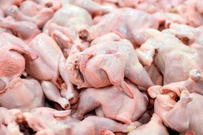 قیمت گوشت مرغ امروز شنبه 14 بهمن/ تب قیمت مرغ پایین آمد