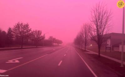 (ویدئو) مه گرفتگی نادر به رنگ صورتی