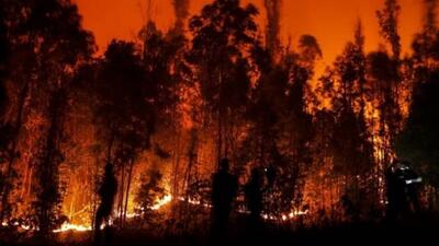 (ویدئو) آتش‌سوزی جنگل‌های شیلی؛ وضعیت اضطراری اعلام شد