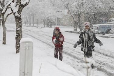 خبرگزاری فارس - برف شادی در مشهد