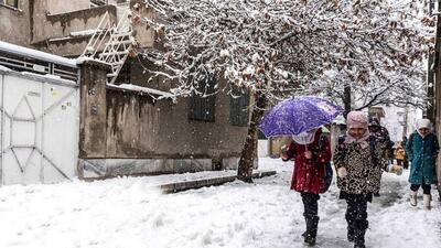 فوری | برف و یخبندان، مدارس این استانها را فردا غیرحضوری کرد