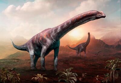 بزرگ‌ترین دایناسور تاریخ این گونه نابود شد | سرنوشت شوم برای دایناسور آرژانتینی