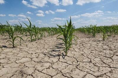 پیشنهادهایی برای عبور از خشکسالی