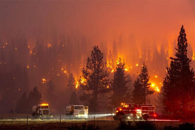 ببینید | گسترش آتش‌سوزی‌های جنگلی در شیلی؛ اعلام وضعیت اضطراری و تایید ۱۰ فوتی تاکنون‌