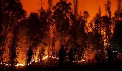 حریق جنگلی در شیلی جان دست کم ۱۰ نفر را گرفت؛ آتش هنوز مهار نشده