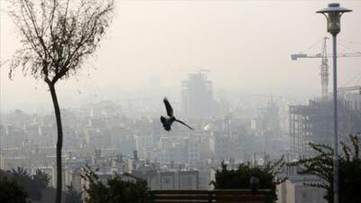 سه شهر با عدد ۵۰۰ در آخرین محور آلودگی هوا