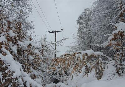 تداوم تلاشها برای پایدار نگهداشتن شبکه برق کشور در زمستان پربرف - تسنیم
