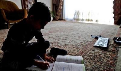یک کارشناس مسائل آموزشی: آموزش مجازی ناکارآمد است/ آلودگی‌هوا به مشکلات آموزش در ایران اضافه شده است