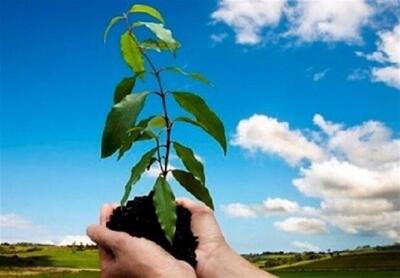 مشارکت سپاه اردبیل در پویش کاشت یک میلیون درخت