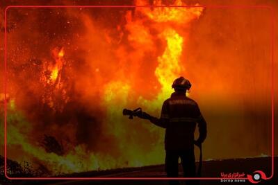 61 کشته و مجروح در آتش سوزی یک کارخانه در هند