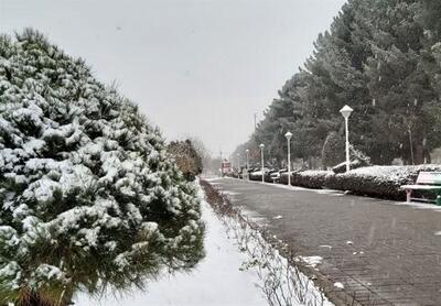 هواشناسی بارش برف در تهران را پیش بینی کرد/ منتظر 24 ساعت متفاوت پایتخت باشید