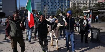 خبرگزاری فارس - کشاورزان ایتالیایی نیز تظاهرات کردند