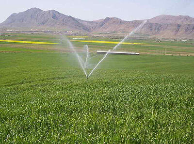 ۱۰۷پروژه بخش کشاورزی در آذربایجان شرقی افتتاح شد
