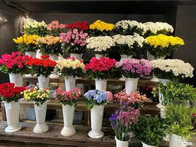 از گران قیمت ترین گل های جهان چه می دانید+ فیلم