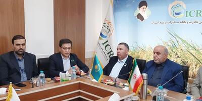 خبرگزاری فارس - چشم انداز توافقات تجاری برای صادرات برنج مازندران به منگستائو قزاقستان