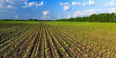 خبرگزاری فارس - ایران در تولید ۲۲ محصول کشاورزی جزء ۷ کشور برتر دنیا است
