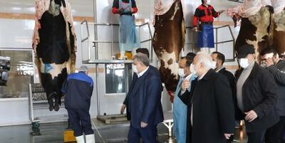 خبرگزاری فارس - افتتاح کشتارگاه صنعتی ۲۰هزار تنی دام در ارومیه
