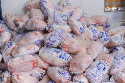 ۴۰۰ کیلوگرم مرغ فاقد مجوز در شهرستان گرمه کشف شد