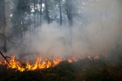 ۲ هزار متر از عرصه‌های جنگلی کلاردشت در آتش سوخت
