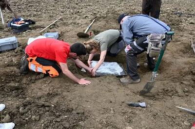 کشف گنج  3500 ساله در مرزعه هویج