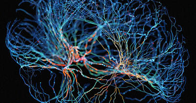 محققان برای اولین‌بار بافت مغز انسان را با چاپ سه‌بعدی تولید کردند