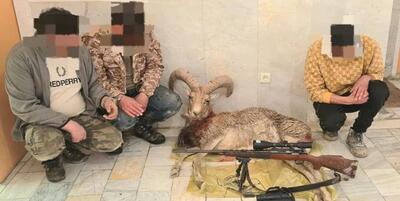 خبرگزاری فارس - دستگیری 3 شکارچی قوچ وحشی و کشف سلاح غیرمجاز در دماوند