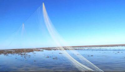 یک رشته دام هوایی زنده گیری پرنده‌های آبزی ۵۰  متری در خلیج گرگان جمع آوری شد
