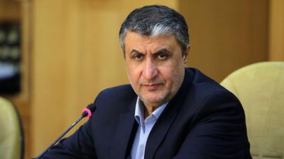 رییس سازمان انرژی اتمی: آژانس بین‌المللی انرژی اتمی برای ایران مزاحمت ایجاد کرد