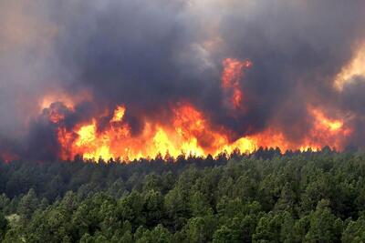 آتش به جان جنگل‌های آمل افتاد | اقتصاد24