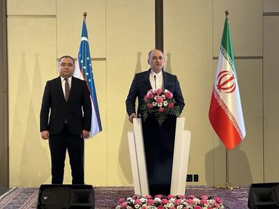 سفیر ایران در ازبکستان: دشمنی با ایران ریشه در استقلال و عدالت خواهی مردم دارد