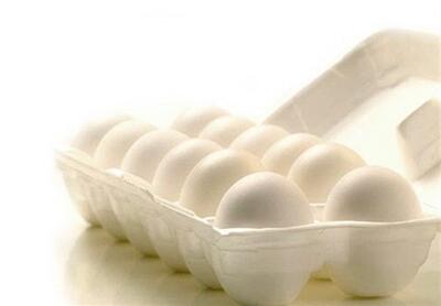 قابل توجه علاقهتخم‌مرغ مندان تخم‌مرغ! مصرف چند عدد تخم مرغ در روز بی‌خطر است؟