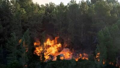 وقوع و مهار آتش‌سوزی در جنگل‌های آمل