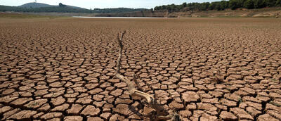 اثر خشکسالی بر شادی و غم مردم سیستان/بلای بزرگی که خشکسالی بر سر جامعه می‌آورد