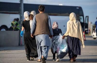 مرزبانی: در  ۱۵ روز اول بهمن‌ماه ۲۰ هزار نفر از اتباع افغانستان از مرز تایباد بازگردانده شدند