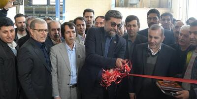 خبرگزاری فارس - معاون وزیر صمت: بیش از 4هزار واحد صنعتی غیرفعال به چرخه تولید برگشت
