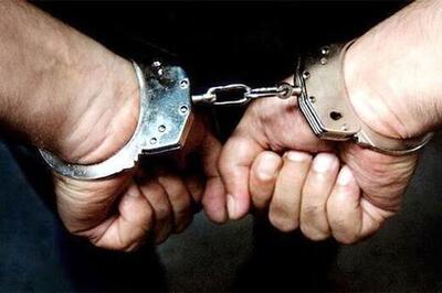 دستگیری۱۶ نفر از اراذل و اوباش آذربایجان‌غربی