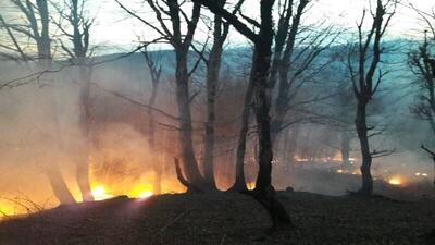 فیلم| احتمال آتش‌سوزی جنگل‌ها در شمال