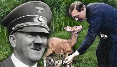 ۱۵ حقیقت شگفت انگیز درباره آدولف هیتلر؛ از سبیل مسواکی تا نفرت از سحرخیزی