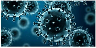 اولین مرگ ناشی از یک بیماری ویروسی جدید